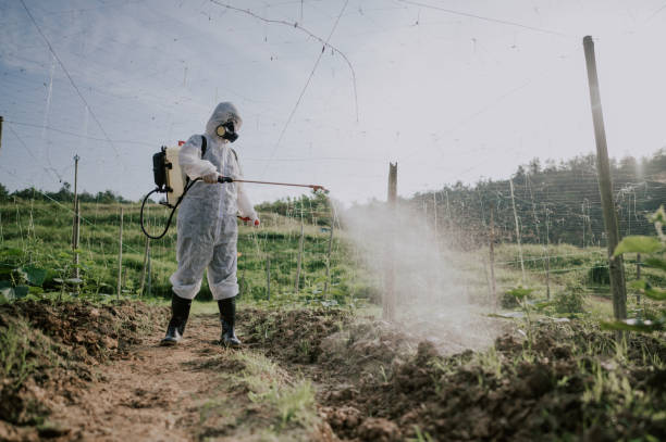 Best Mosquito Control Services  in Waltham, MA