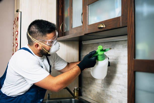 Best Cockroach Control Services  in Waltham, MA
